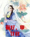 你好审计官txt下载