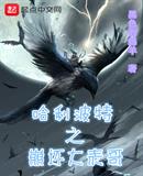 哈利波特之崩坏大表哥