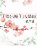 娱乐圈风暴眼小说