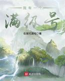 我有一个满级号 小说