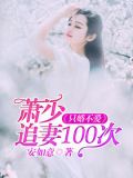 只婚不爱:萧少追妻100次