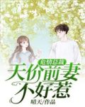 危情总裁:天价前妻不好惹