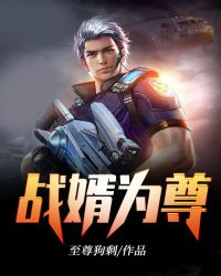 护国神帅叶无道徐灵儿
