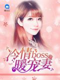 冷情boss暖宠妻小说江晚