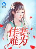 佳妻难为小说完整版免费阅读