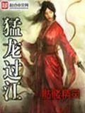 猛龙过江演员列表