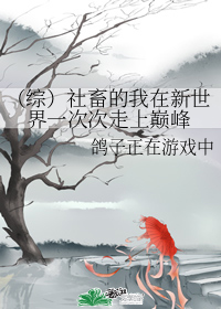 社畜的我一次次走向巅峰