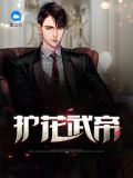 美女之高手无敌