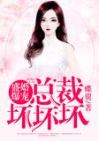 盛婚爆宠:总裁坏坏坏