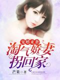 宠婚来袭:淘气娇妻拐回家