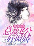 替婚娇妻:总裁老公好傲娇