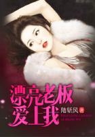 老板爱上我的电视剧