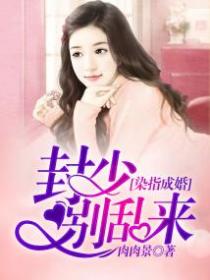 染指成婚:封少别乱来