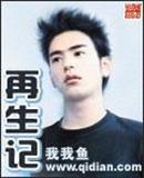 再生记小说