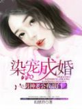 染宠成婚:男神老公夜敲门
