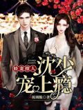 娇妻撩人:沈少宠上瘾