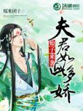 娘子来袭夫君如此多娇小说