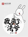 我杀了法爷txt精校