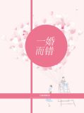 一婚而错第29章在线阅读