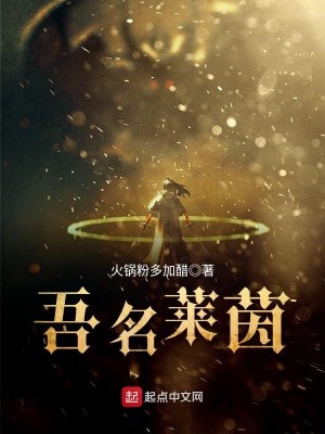 吾名莱茵类似的小说