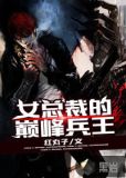 女总裁的巅峰兵王T×T