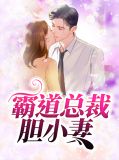 霸道总裁胆小妻顾希延