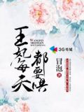王妃每天都要哄 小说百度云
