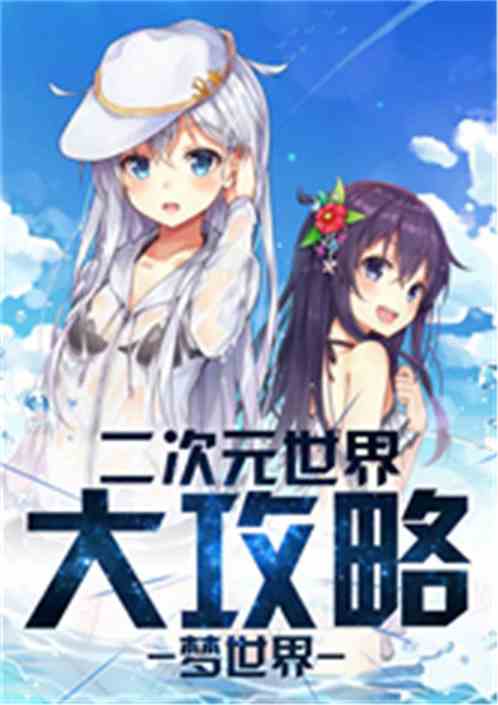 二次元世界大攻略