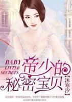 帝少的宝贝 小说
