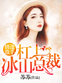 杠上冰山总裁:情逢敌手