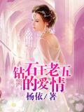 钻石王老五的爱情小说