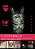 官场布衣在线听书