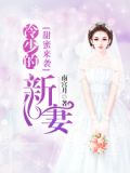 甜蜜来袭:冷少的新妻