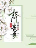 重生权门贵妻小说