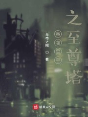 吞噬星空之至尊塔TXT下载