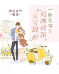 一胎双宝妈咪快跑宝宝殿后txt下载