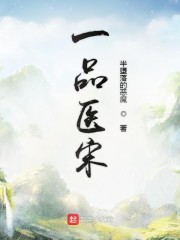 一品医宋txt下载