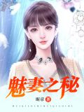 小说魅妻之秘
