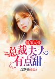 情深入骨:总裁夫人有点甜