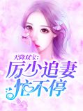 天降双宝:厉少追妻忙不停