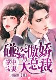 掌中宝妻:碰瓷傲娇大总裁