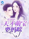 祁少追妻:天才萌宝要妈咪