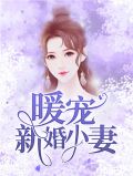 暖宠新婚小妻温暖