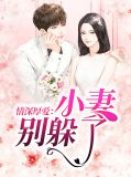 情深厚爱:小妻别躲了梁潇潇皇昊天