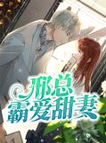 邢总霸爱甜妻兰晚晚司徒邢