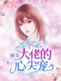 顶尖大佬的心尖宠贺煜城