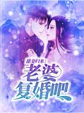 甜妻归来:老婆复婚吧洛宁夕