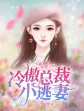 冷傲总裁小逃妻白思思慕辰轩