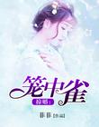 掠婚:笼中雀txt网盘