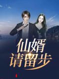 仙婿请留步叶天